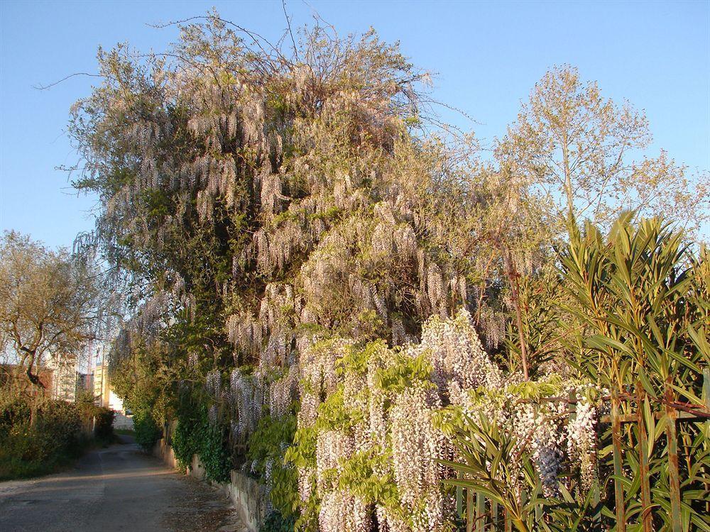 Parco Delle Valli Sassari Extérieur photo